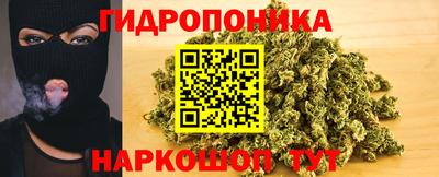 СК Обь