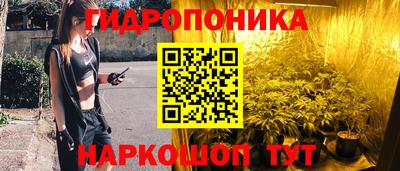 СК Обь