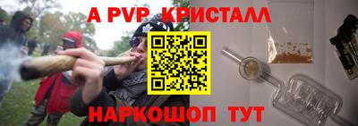 СК Обь
