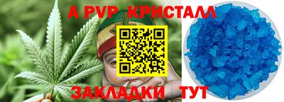 СК Обь