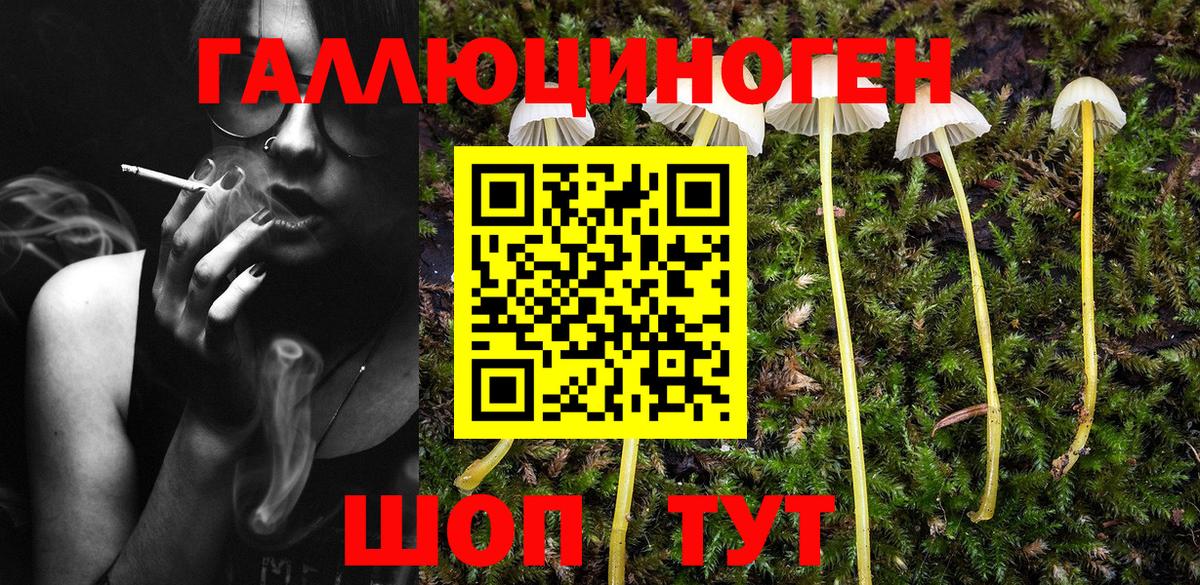 Сорочинск  Псилоцибиновые грибы ЛСД  Вход с VPN  Псилоцибиновые грибы прущие грибы 